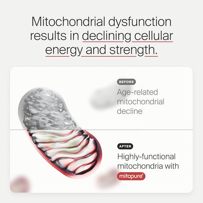 Mitopure Powder Urolithin A