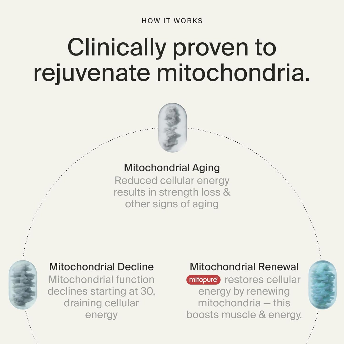 Mitopure Softgels Urolithin A