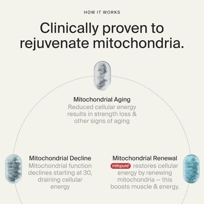 Mitopure Softgels Urolithin A